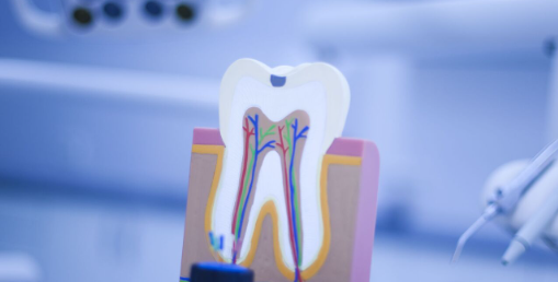 Development of the dental market