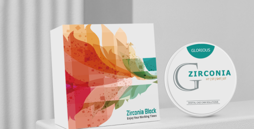 Navigating The Choices In Dental Prosthetics: Zirconia VS PMMA Hybrid Options