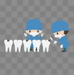 Knowledge about teeth