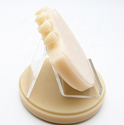 Top Quality Multi Layer Dental PMMA For Dental Lab